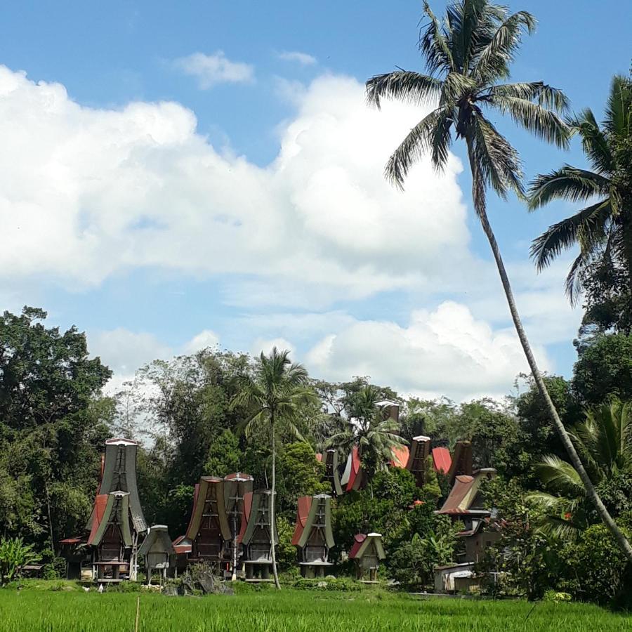 Toraja Manubackpacker Hotel Rantepao Kültér fotó