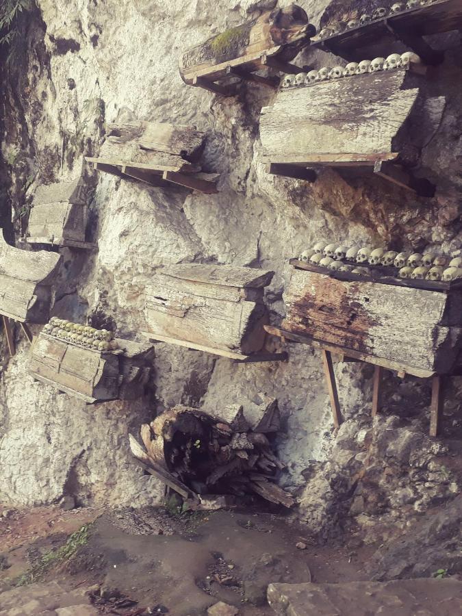 Toraja Manubackpacker Hotel Rantepao Kültér fotó