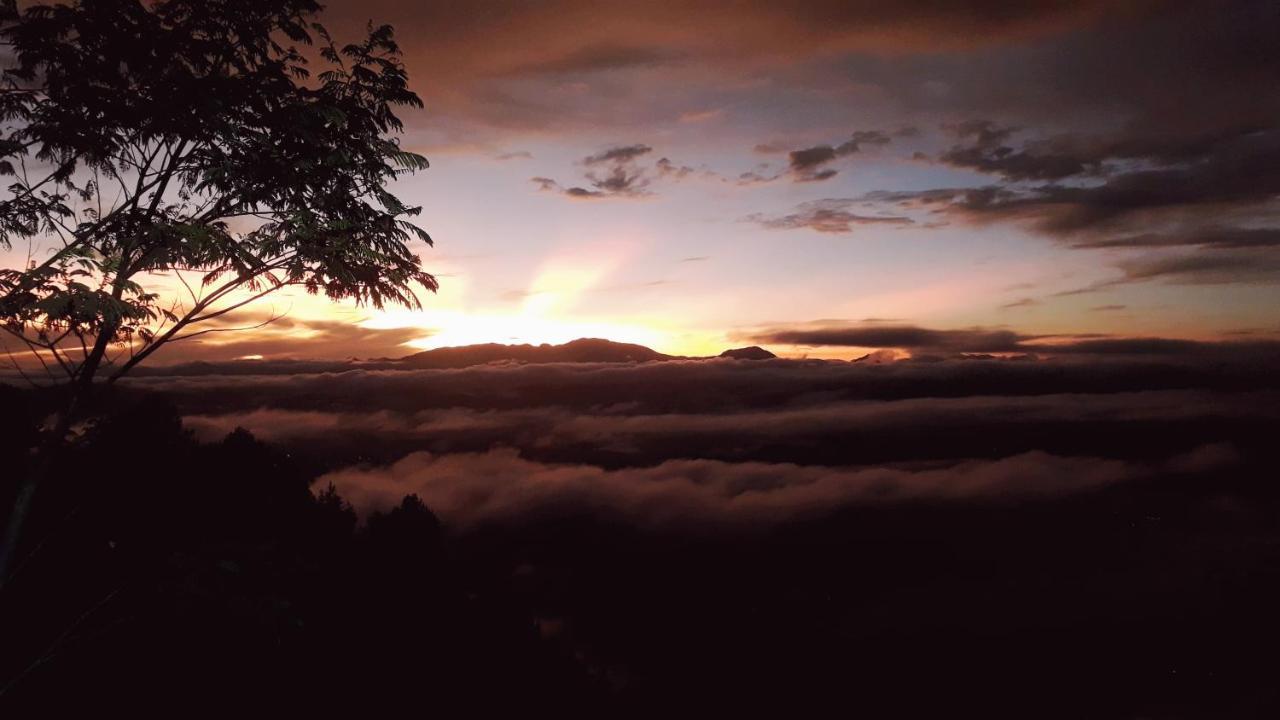 Toraja Manubackpacker Hotel Rantepao Kültér fotó
